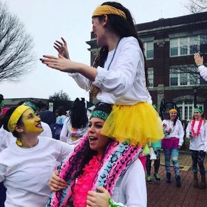 Meet your Posher, Molly